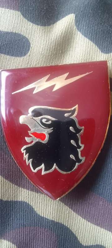 SADF 44 PARACHUTE   SIGNAL REGIMENT  SHOULDER FLASH