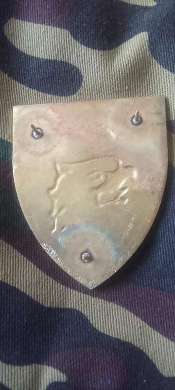 SADF 44 PARACHUTE   SIGNAL REGIMENT  SHOULDER FLASH