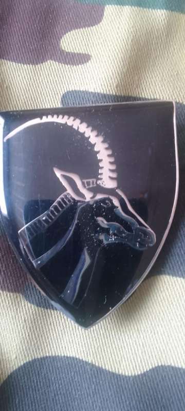SADF BARBERTON COMMANDO SHOULDER FLASH  - WITH PINS