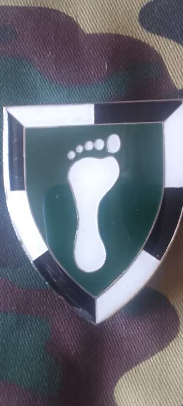 SADF 1 SWA  SPECIALIST UNIT SHOULDER FLASH