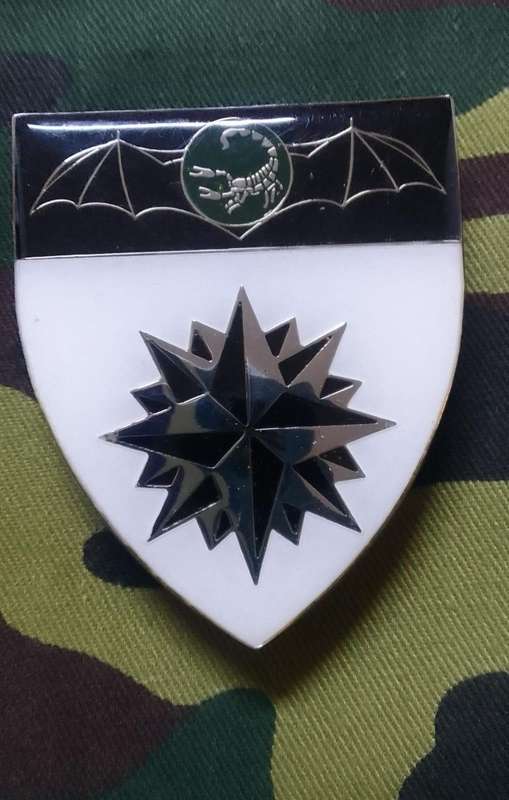 SADF /SA ARMY 2 RECCE REGIMENT SHOULDER FLASH - WITH PINS -