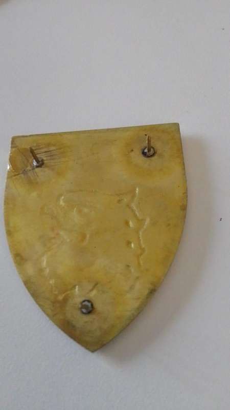 SADF 44 PARACHUTE   SIGNAL REGIMENT  SHOULDER FLASH