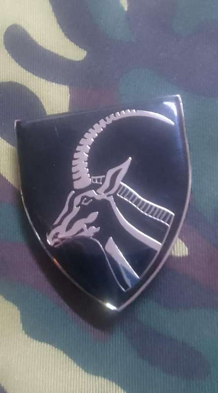 SADF BARBERTON COMMANDO SHOULDER FLASH  - WITH PINS