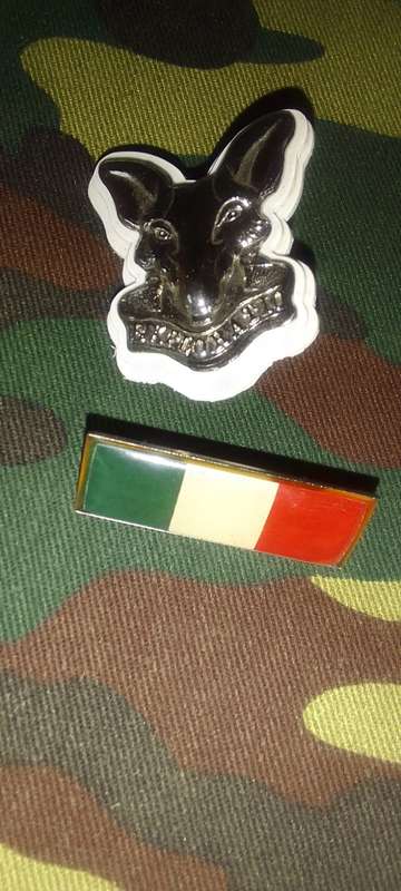 SADF/SA ARMY INTELLIGENCE CORPS BERET  BADGE & BALKIE -  SET