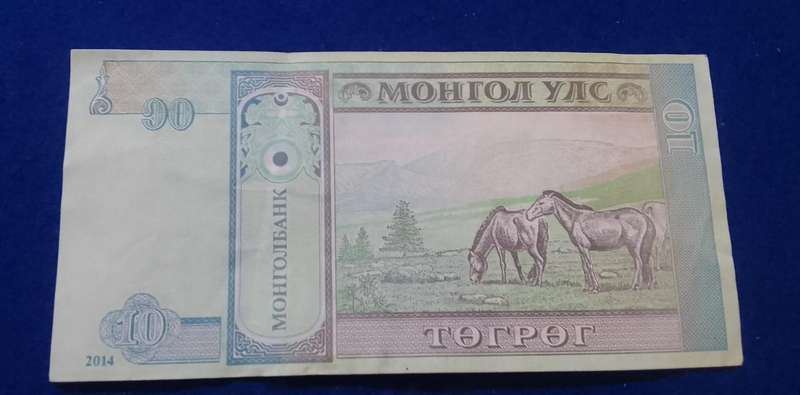 Mongolia banknote 10 Togrog Horses  (2014)