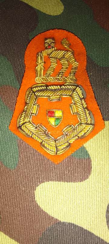 SADF/ SANDF SENIOR OFFICER BERET BADGE