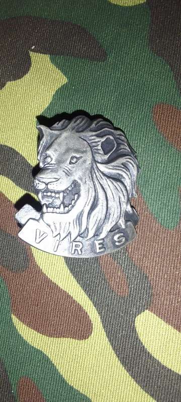 SADF / SANDF STATE PRESIDENTS GUARD BERET BADGE