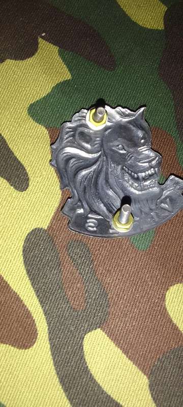 SADF / SANDF STATE PRESIDENTS GUARD BERET BADGE