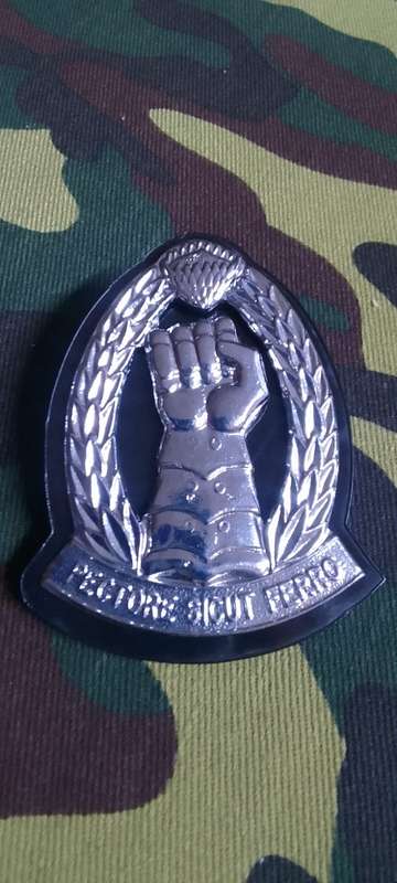 SADF/ SA ARMY ARMOURED CORPS BERET BADGE