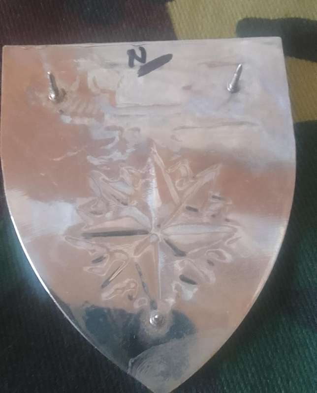 SADF / SA ARMY 4 RECCE SHOULDER FLASH - WITH PINS