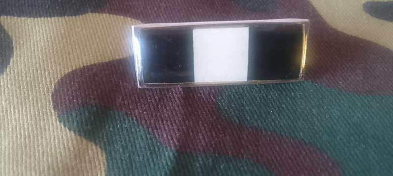 SADF/SA ARMY RECCE BERET BAR - WITH PINS