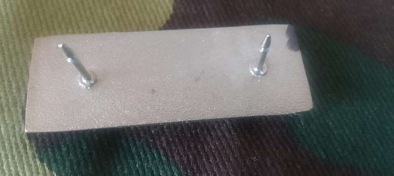 SADF/SA ARMY RECCE BERET BAR - WITH PINS