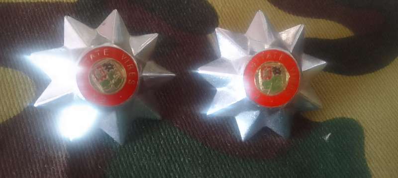 SADF / SA ARMY MAJOR PIPS - CHROMED