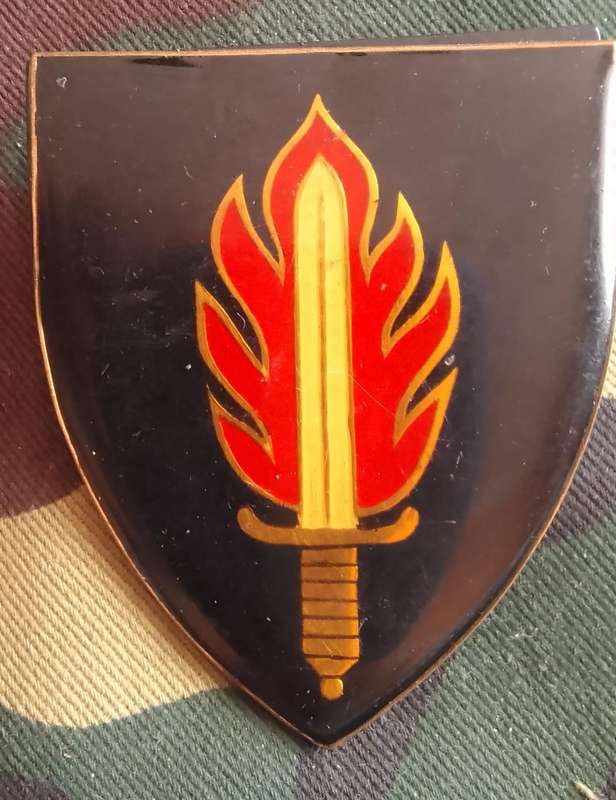 SADF/ SA ARMY 11  COMMANDO / INTELLIGENCE  SHOULDER FLASH - 2 PINS ONLY