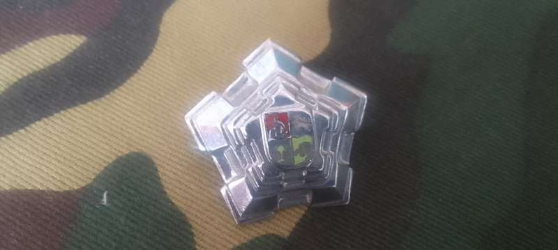 SADF / SA ARMY BRIGADIER PIP LARGE CHROME