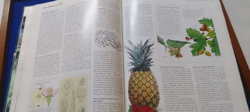 Illustrative Book: Readers' digest guide to Nature - answers to 1001 questions