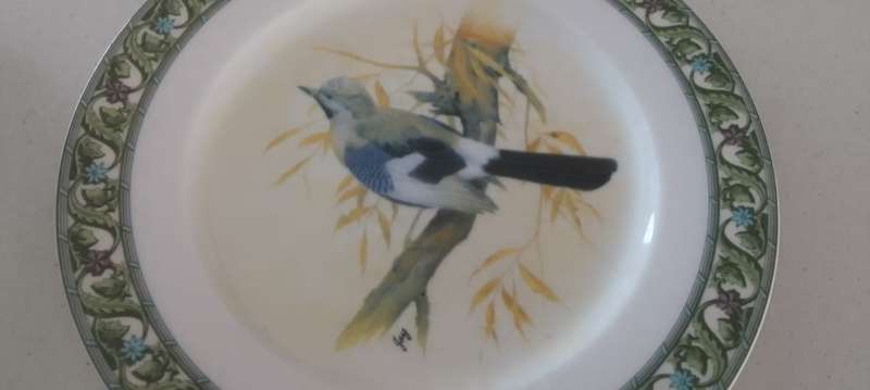 COLLECTION OF CERAMIC DINNER PLATES - BIRD DESIGN