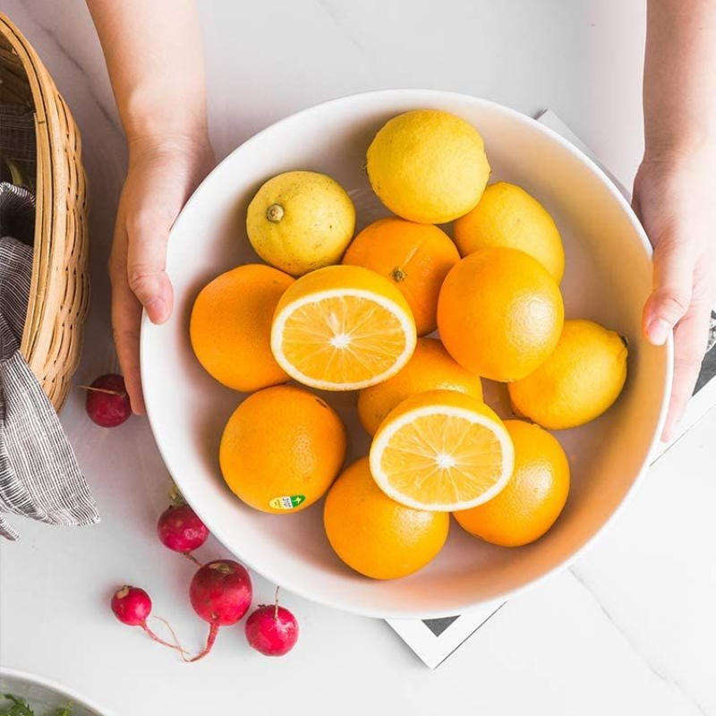 Large Round Shape Porcelain Serving Bowl