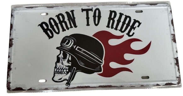 Born to Ride Flame Skull Metal License Plate