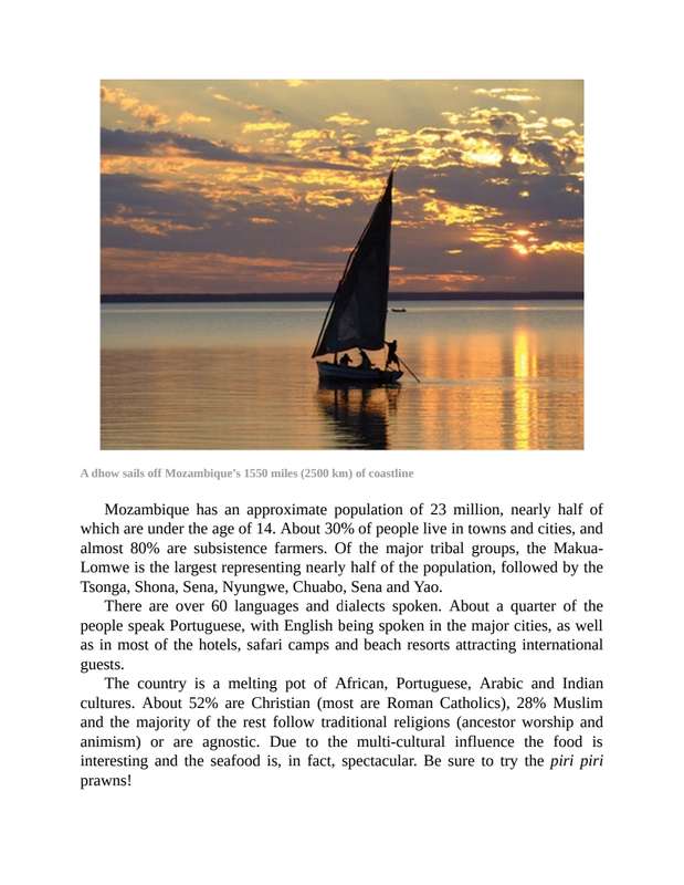 Africa's Top Wildlife Countries 8th Edition Ebook PDF