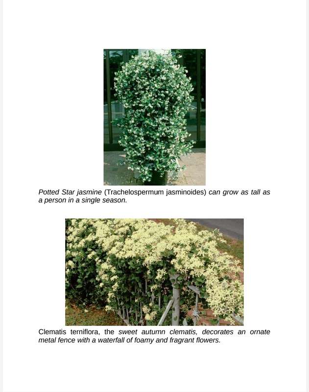 Vertical Gardening PDF EBOOK