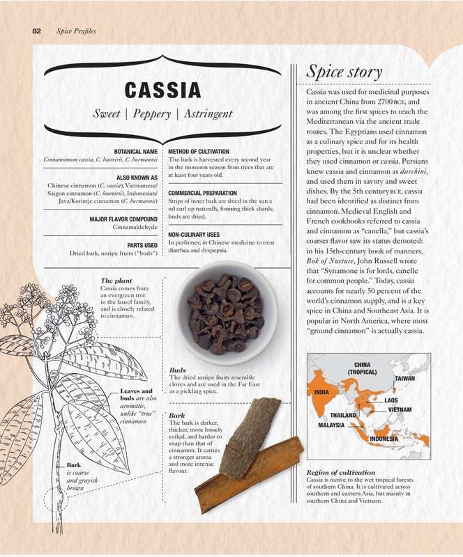 Spice PDF EBOOK