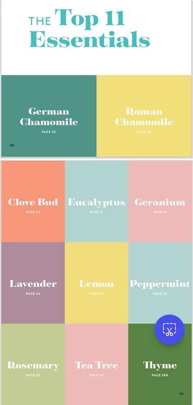 Essential oils - A Beginners Guide PDF EBOOK
