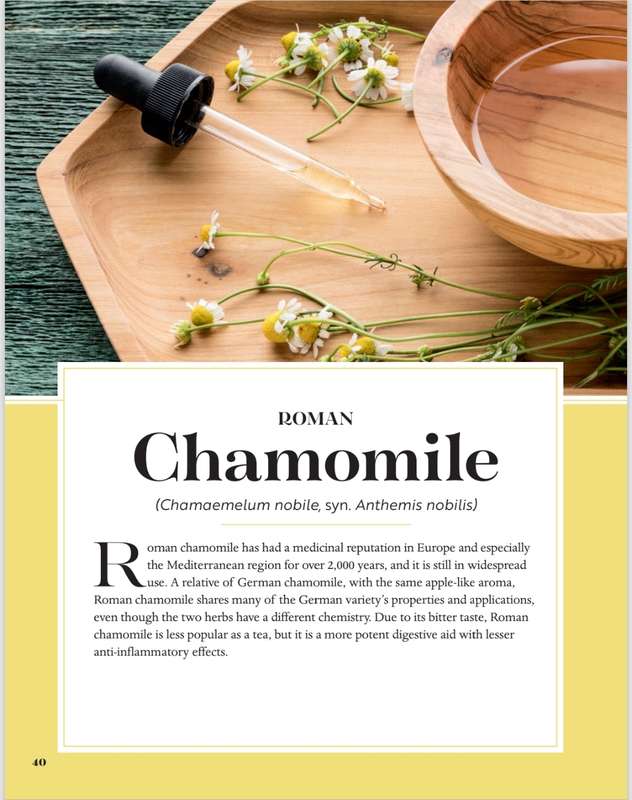 Essential oils - A Beginners Guide PDF EBOOK
