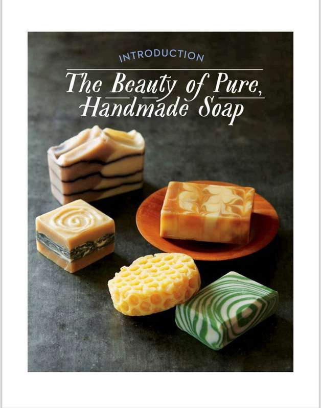 Pure Soapmaking PDF EBOOK