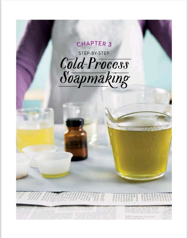 Pure Soapmaking PDF EBOOK