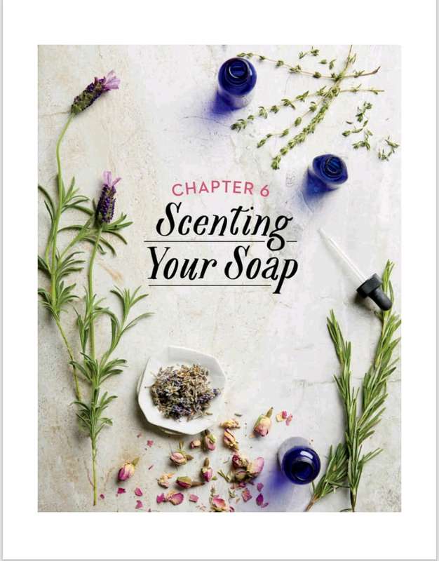 Pure Soapmaking PDF EBOOK
