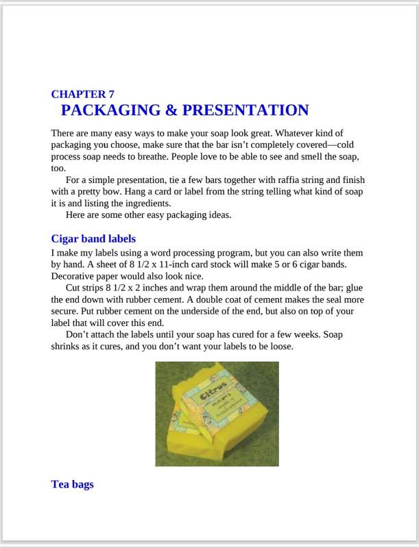 The Natural Soap Chef PDF EBOOK