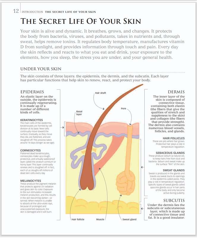 Natural Beauty PDF EBOOK