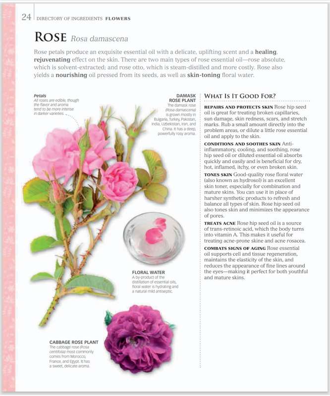 Natural Beauty PDF EBOOK