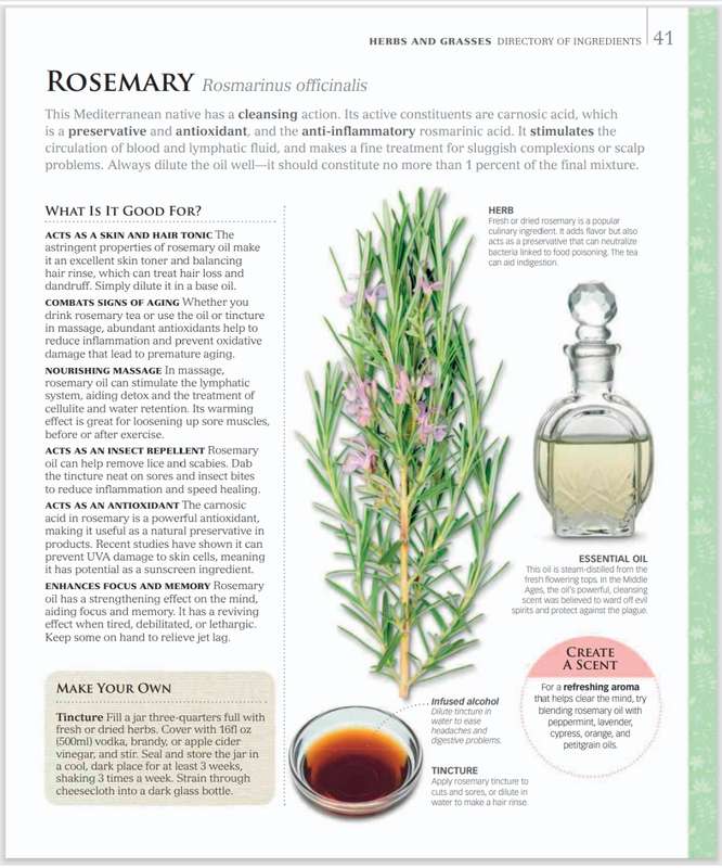 Natural Beauty PDF EBOOK