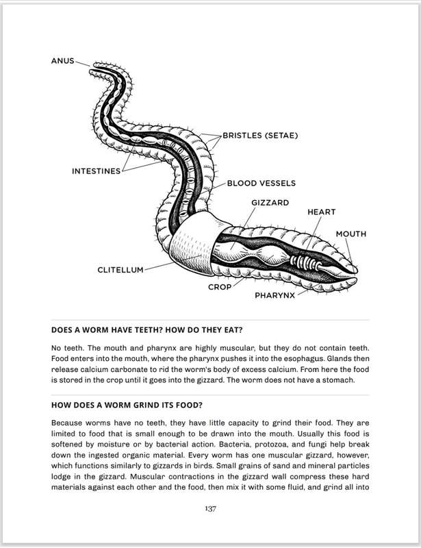 Worms eat my Garbage PDF EBOOK