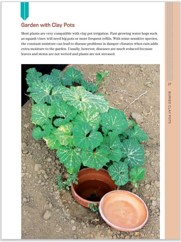 Gardening with Less Water PDF EBOOK