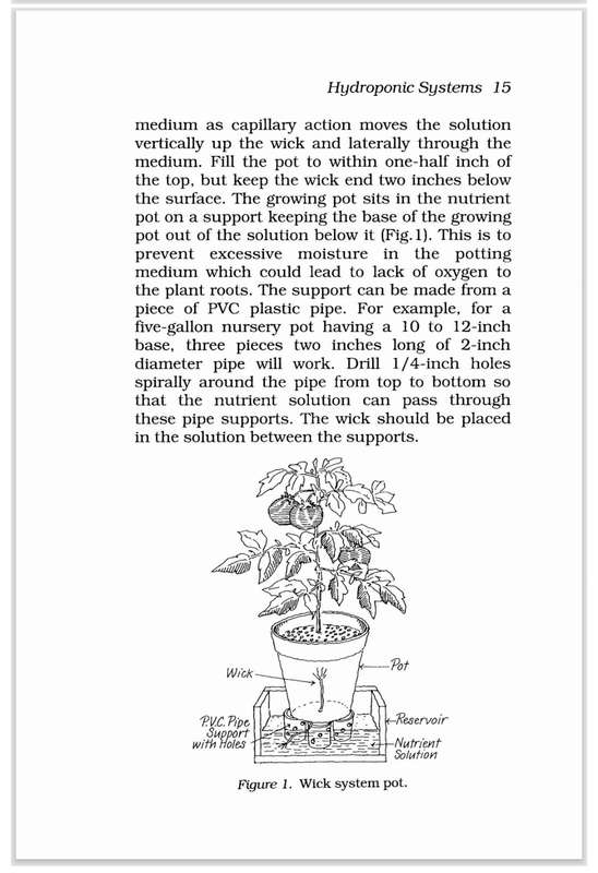 Hydroponic Tomatoes PDF EBOOK