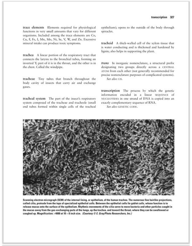 Encyclopedia of Biology PDF EBOOK