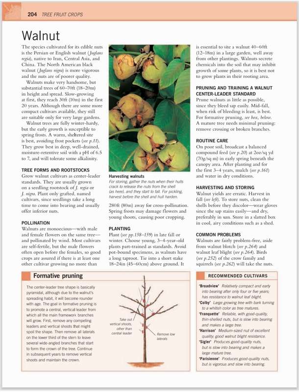 Fruit & Vegetable Gardening  The Definitive Guide to Successful Growing PDF EBOOK
