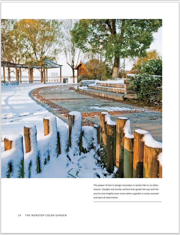 The NonStop Color Garden PDF EB