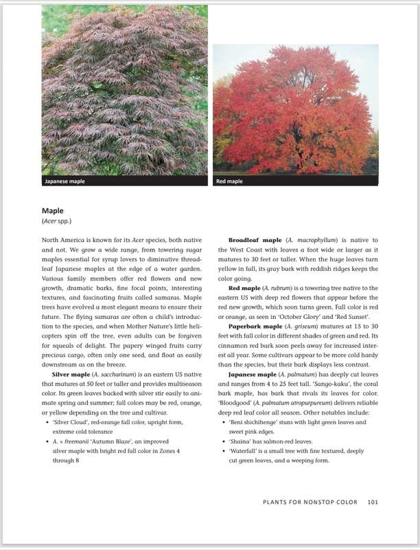 The NonStop Color Garden PDF EB