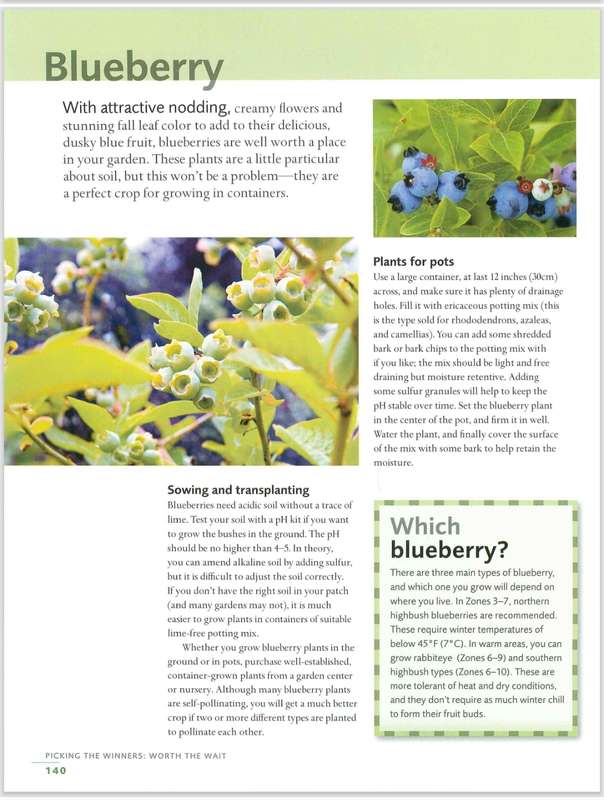 Fast, Fresh Garden Edibles PDF EBOOK