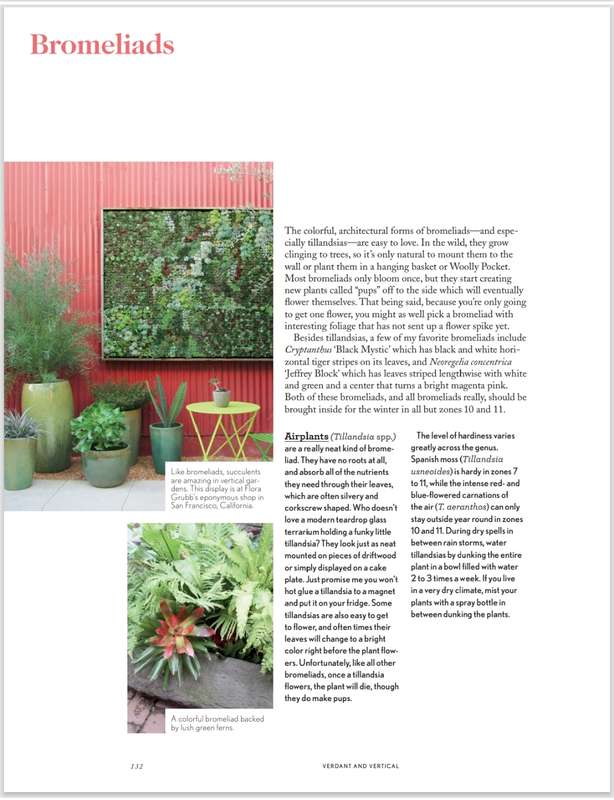 Small Space Container Gardens PDF EBOOK