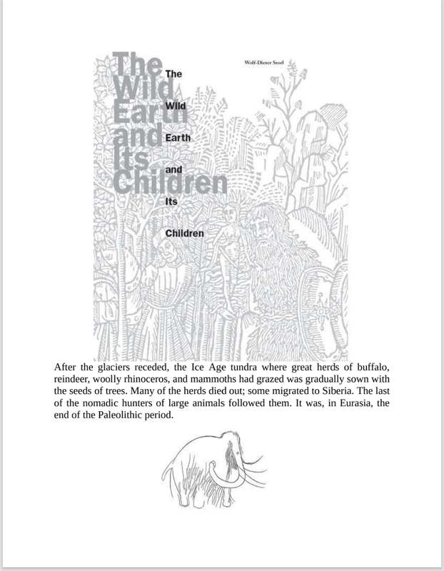 Witchcraft Medicine PDF EBOOK