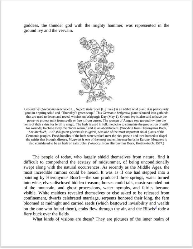 Witchcraft Medicine PDF EBOOK