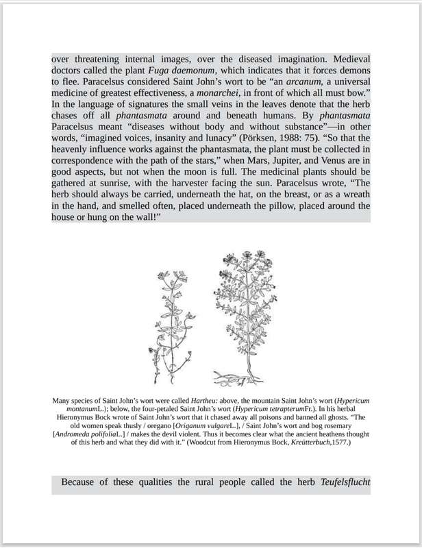 Witchcraft Medicine PDF EBOOK