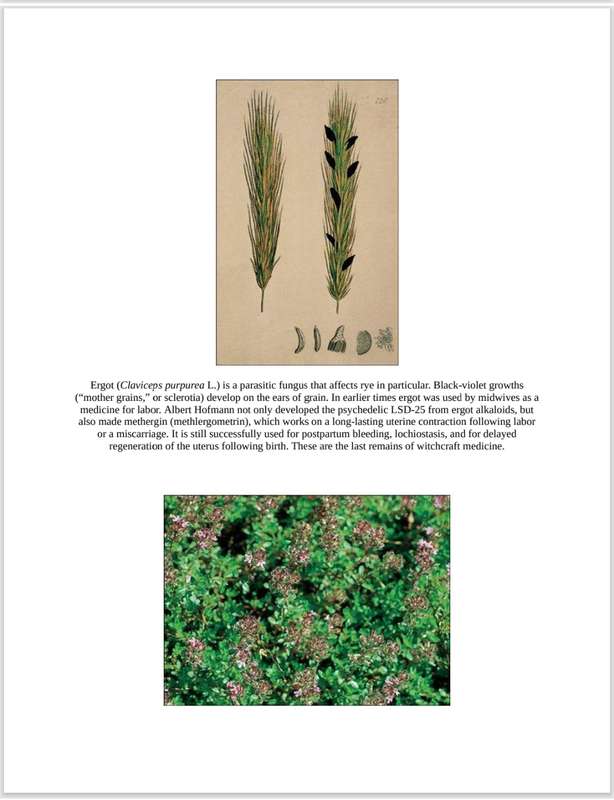 Witchcraft Medicine PDF EBOOK