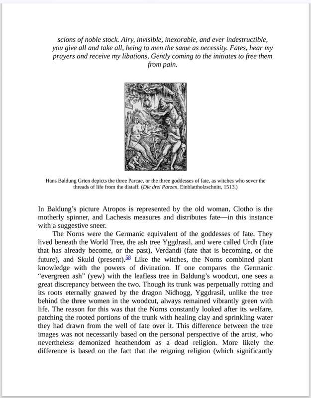 Witchcraft Medicine PDF EBOOK
