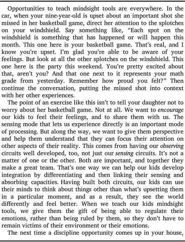 NO-Drama Discipline PDF EBOOK